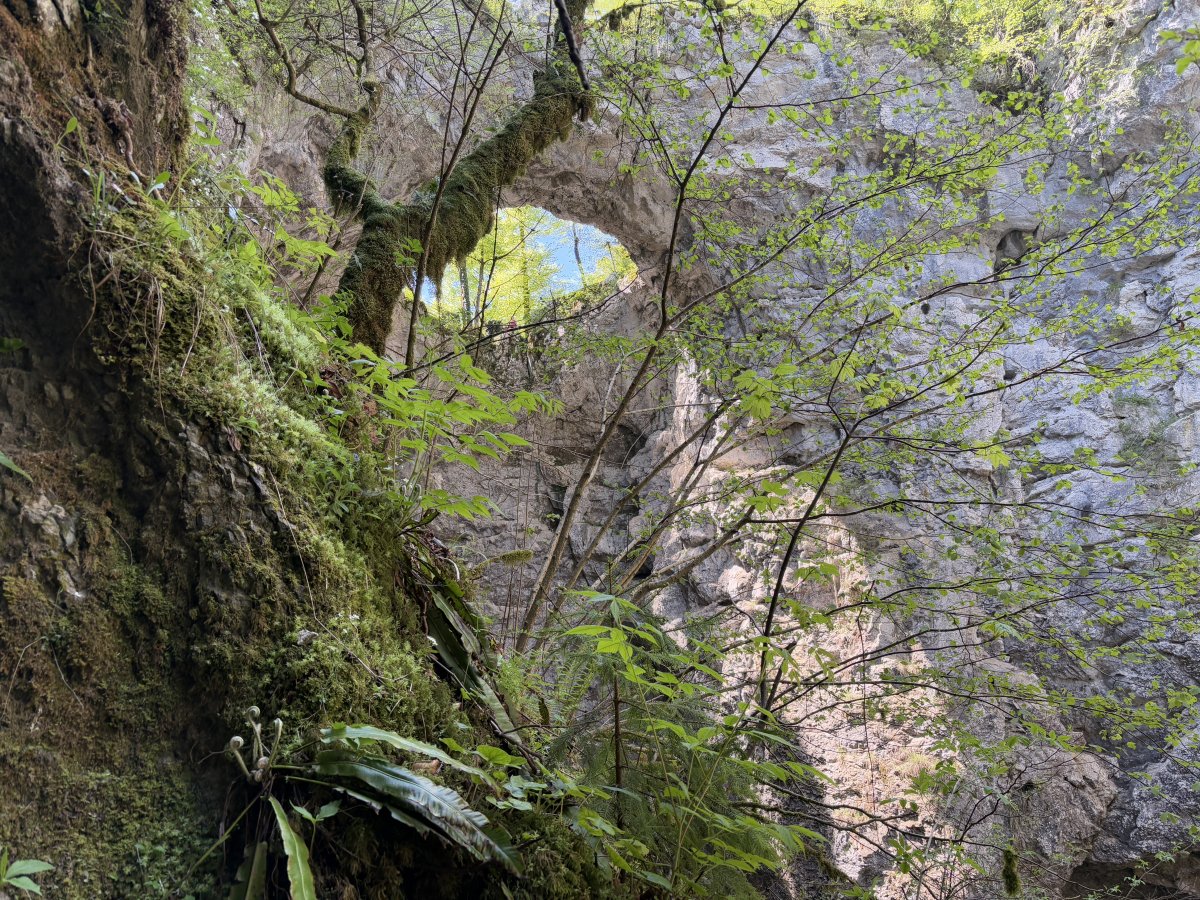 The Rakov Skocjan Little Bridge Arch creates this eye in the sky in the sheer Karst cliff walls.. The Rakov Skocjan Little Bridge Arch creates this eye in the sky in the sheer Karst cliff walls..