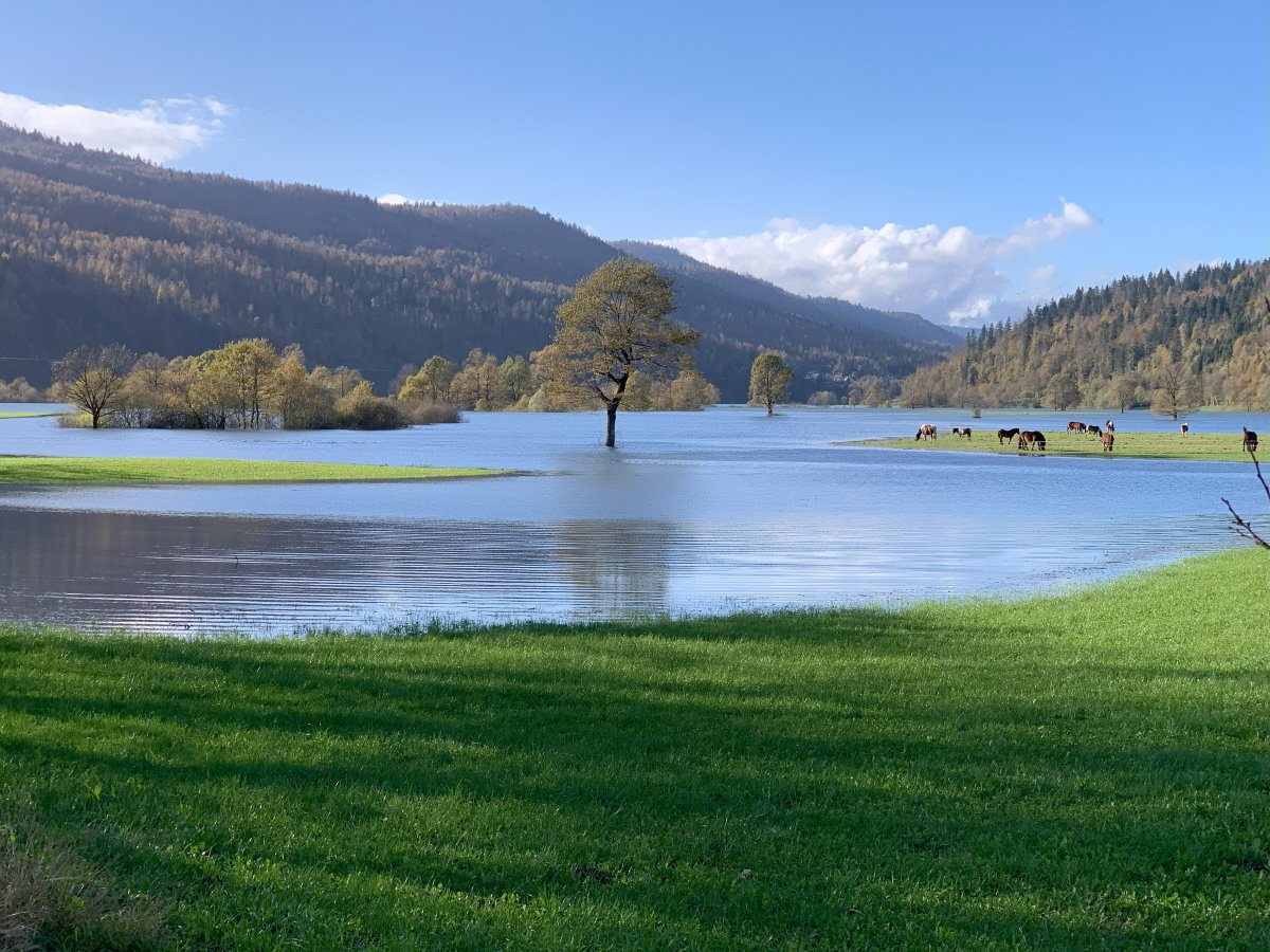 This disappearing lake at Planina, 15 mins from the Lodge, is bigger than lakes Bled & Bohinj put together.. when it decides to appear.. This disappearing lake at Planina, 15 mins from the Lodge, is bigger than lakes Bled & Bohinj put together.. when it decides to appear..