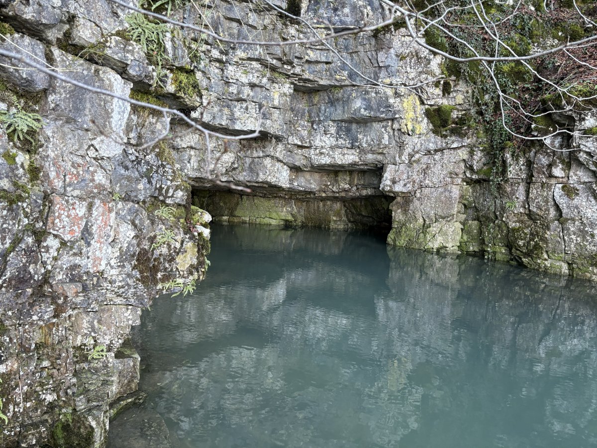 The biggest disappearing lake of them all is 25 mins from the Lodge at Cerknica and this is one of the secret caves that helps to fill up to 40KM Sq of lake with crystal clear water.. The biggest disappearing lake of them all is 25 mins from the Lodge at Cerknica and this is one of the secret caves that helps to fill up to 40KM Sq of lake with crystal clear water..