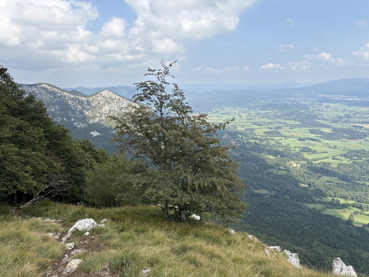 You can see Venice, the Vipava Valley, the Coast, the Red Karst and the other 3 Slovenian Alps from the top of Nanos on a good day.. The Lodge is snuggled down there on the Green Karst side of the mountain, 10 mins from the main motorway to the Coast.. You can see Venice, the Vipava Valley, the Coast, the Red Karst and the other 3 Slovenian Alps from the top of Nanos on a good day.. The Lodge is snuggled down there on the Green Karst side of the mountain, 10 mins from the main motorway to the Coast..