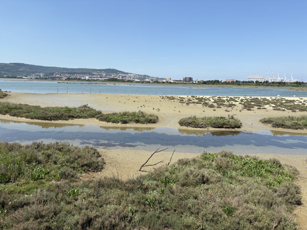 A fab hidden marine nature park nestled in next to a container port on the coast.. A fab hidden marine nature park nestled in next to a container port on the coast..