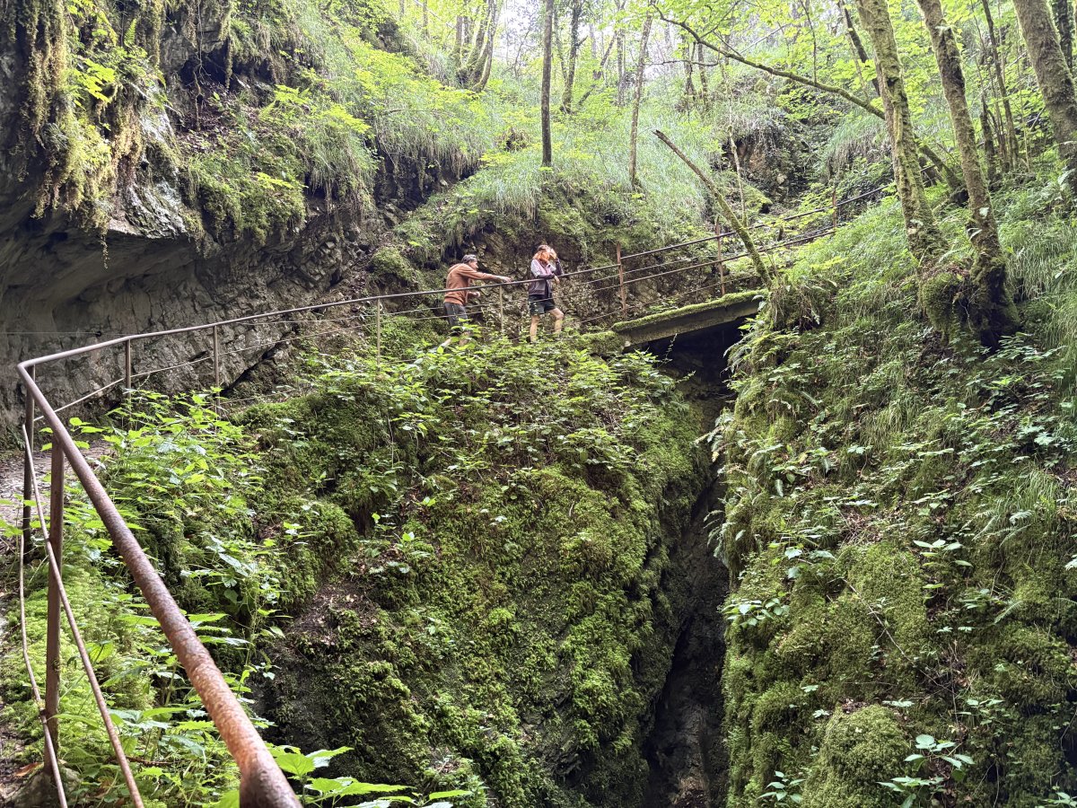 Yet another extraordinary cave exit in Green Slovenia.. Yet another extraordinary cave exit in Green Slovenia..