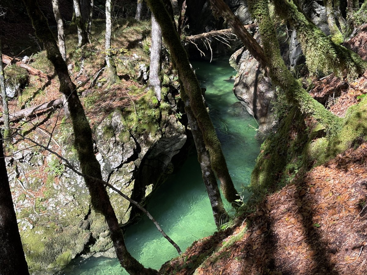 All bets are off for the best gorge in Green Slovenia when you go see Mostnica Gorge.. All bets are off for the best gorge in Green Slovenia when you go see Mostnica Gorge..