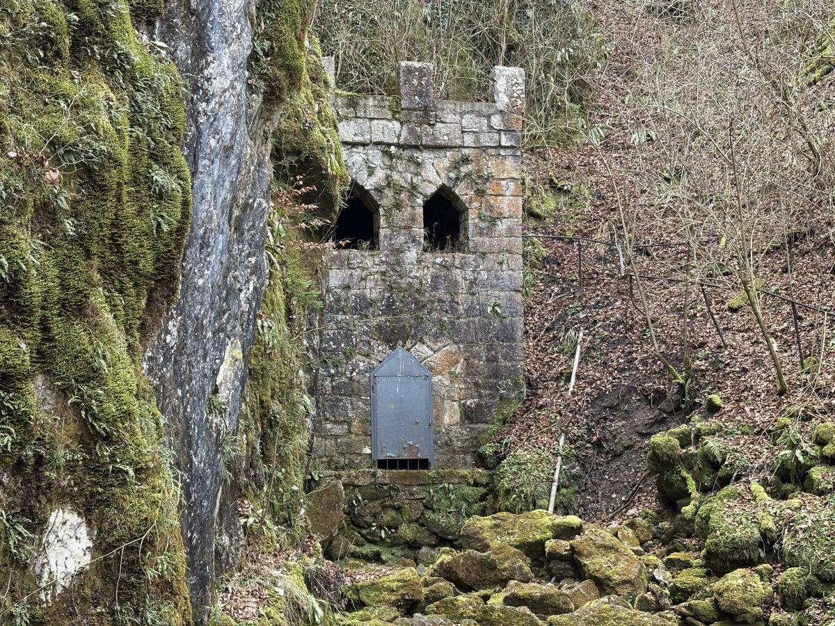 This mysterious forest gate was Lord of the Rings before JR Tolkien was even born.. This mysterious forest gate was Lord of the Rings before JR Tolkien was even born..