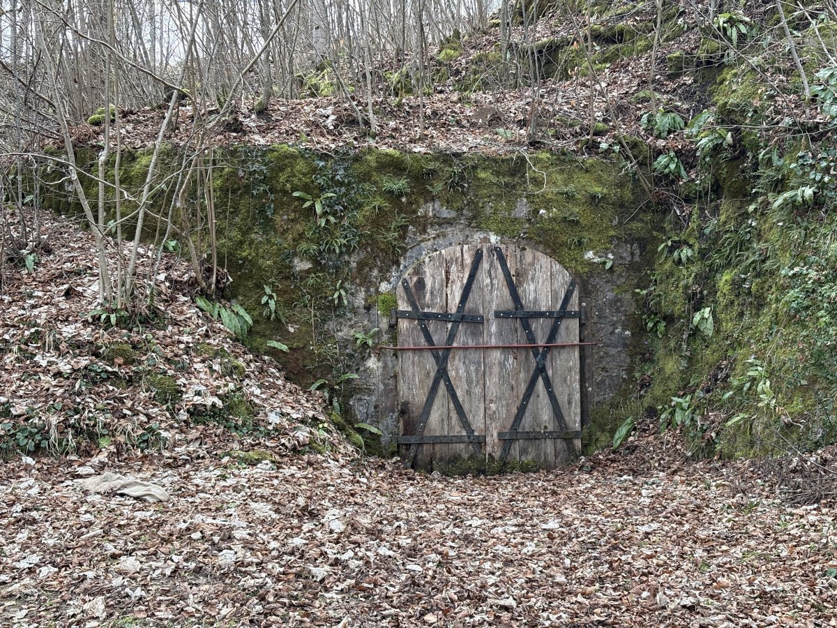 Large wooden doors to a secret Ice cellar in the grounds.. Large wooden doors to a secret Ice cellar in the grounds..