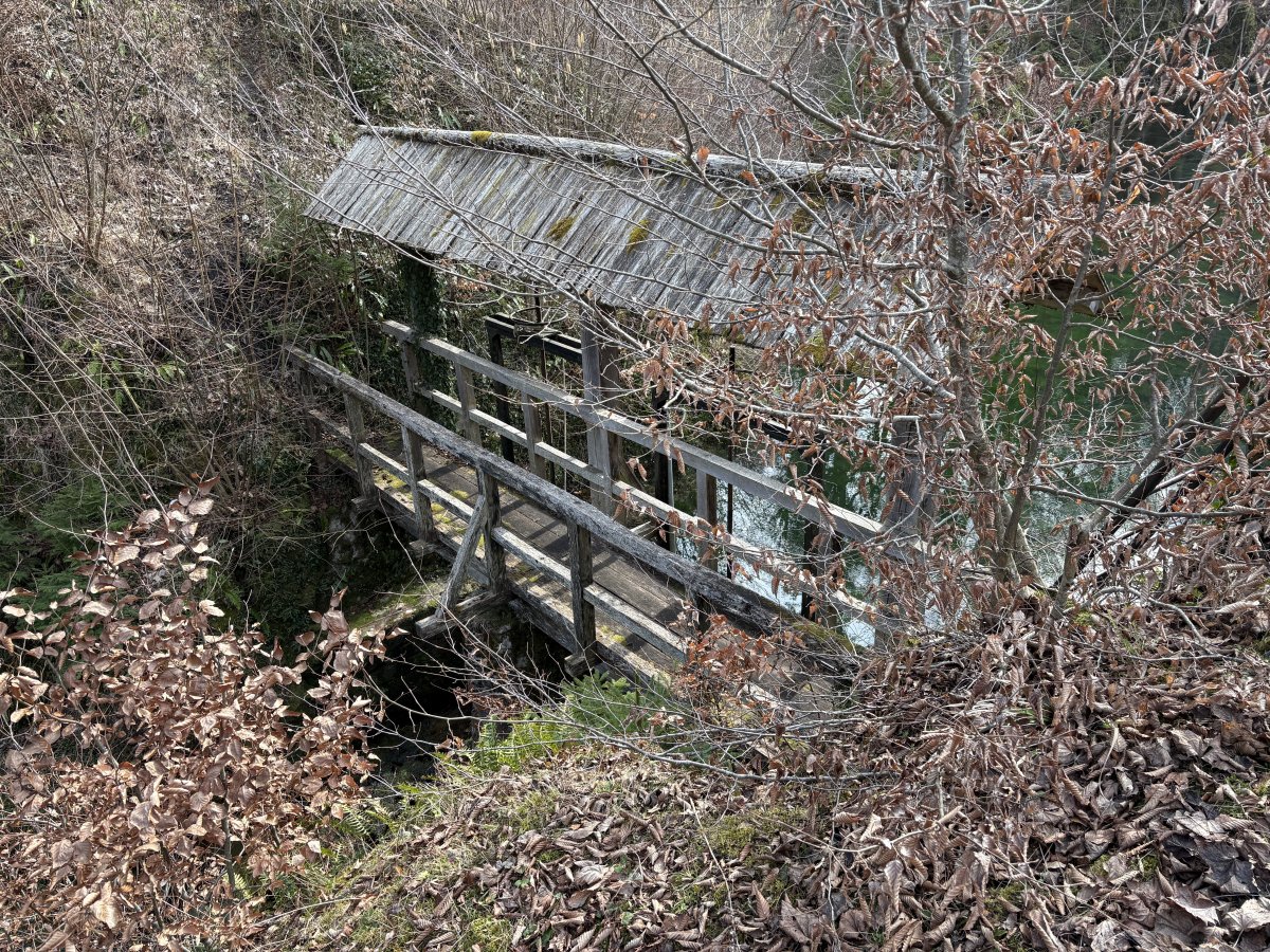 A secret wooden bridge crosses the moat to the back of the castle.. A secret wooden bridge crosses the moat to the back of the castle..