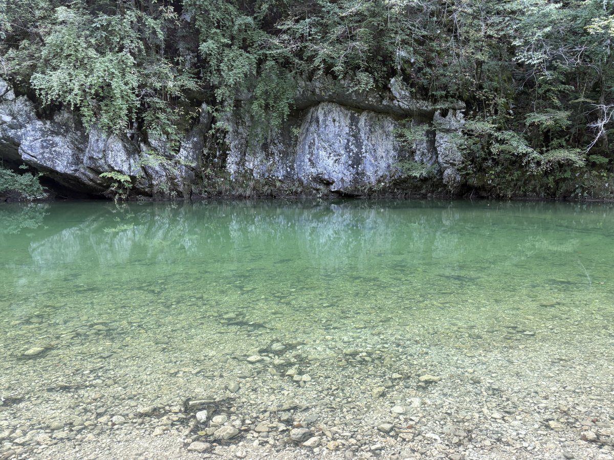 This is why we call it all Green Slovenia, Baby.. This is why we call it all Green Slovenia, Baby..