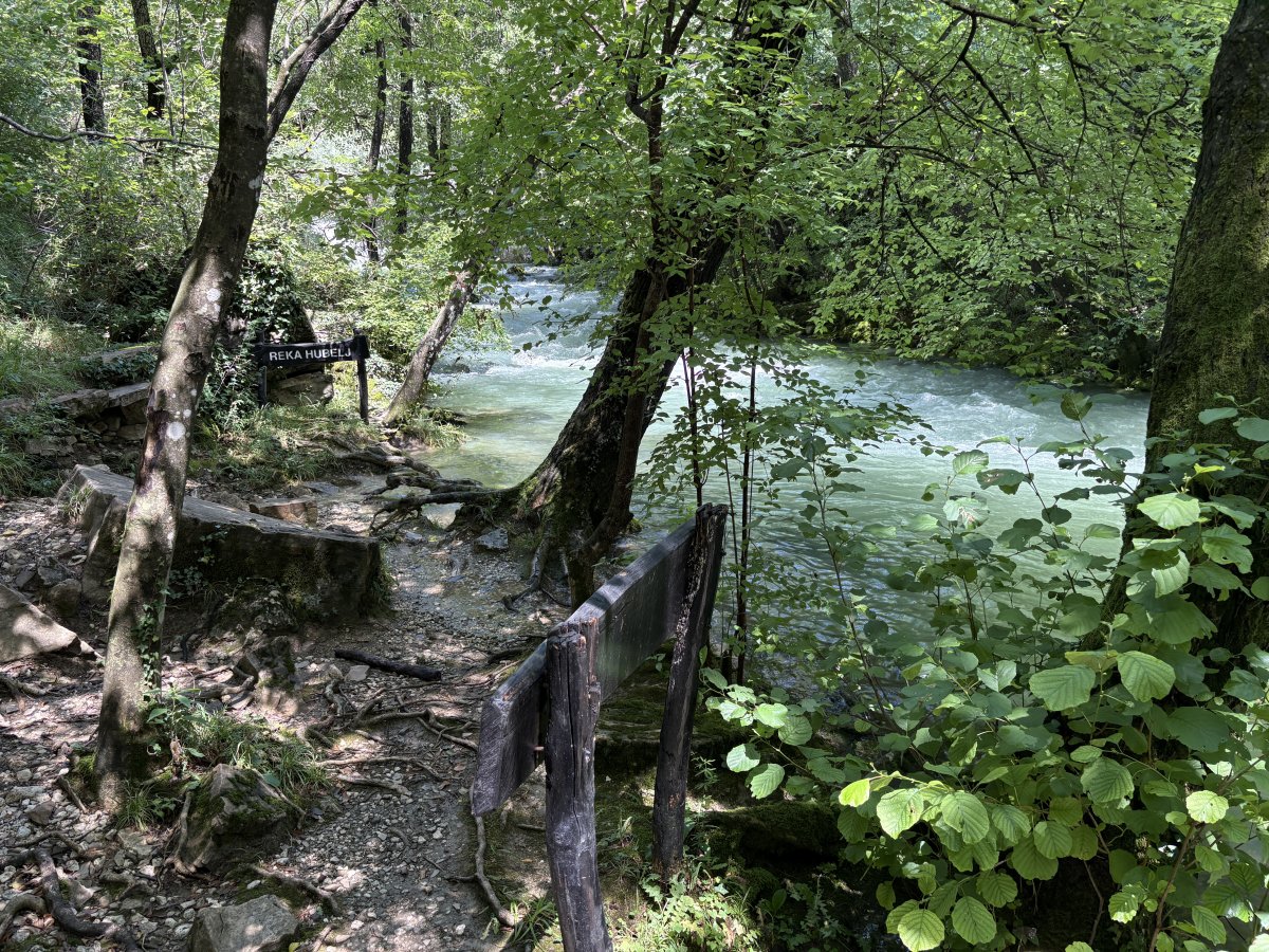 the BBC tips Green Slovenia!