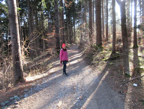 hiking in the forest in slovenia