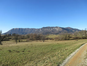 hike with view of nanos