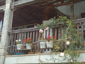 living village museum in slovenia