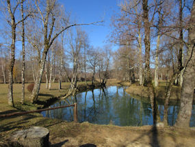 nanoscica river near postojna