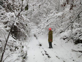 hiking in the snow in slovenia