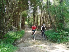 riding through the forest by bike in slovenia