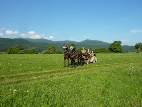 go for a horse carriage ride in slovenia