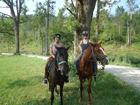 go for a hack in green slovenia