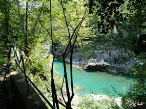 along the soca in slovenia