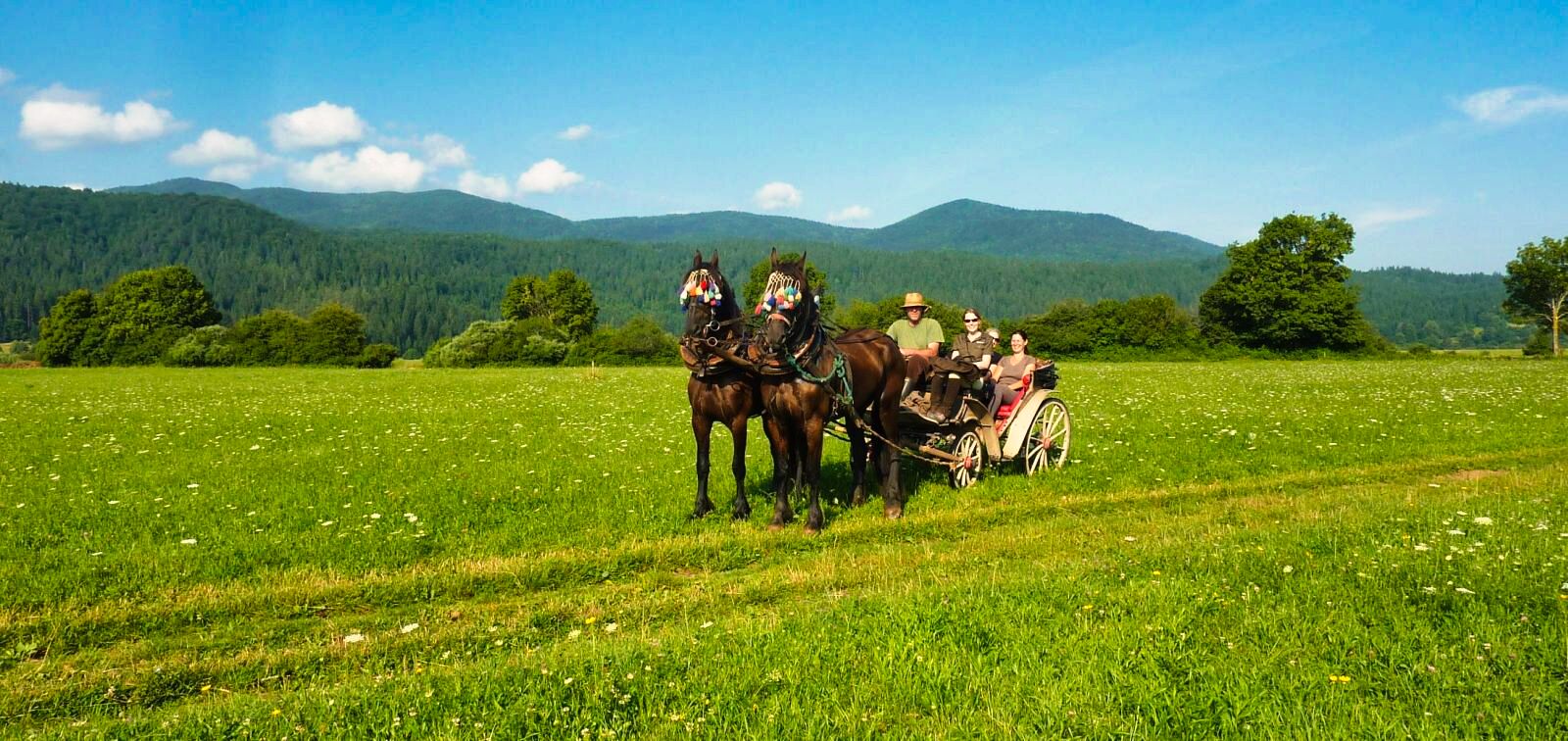 22 - janez_carriage